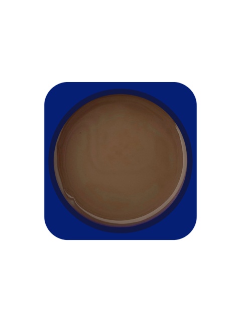 TOUCH Builder gel Coffee cream - ciemno-beżowy żel budujący, 10 ml
